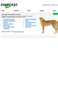 Mobile Screenshot of findfast.com